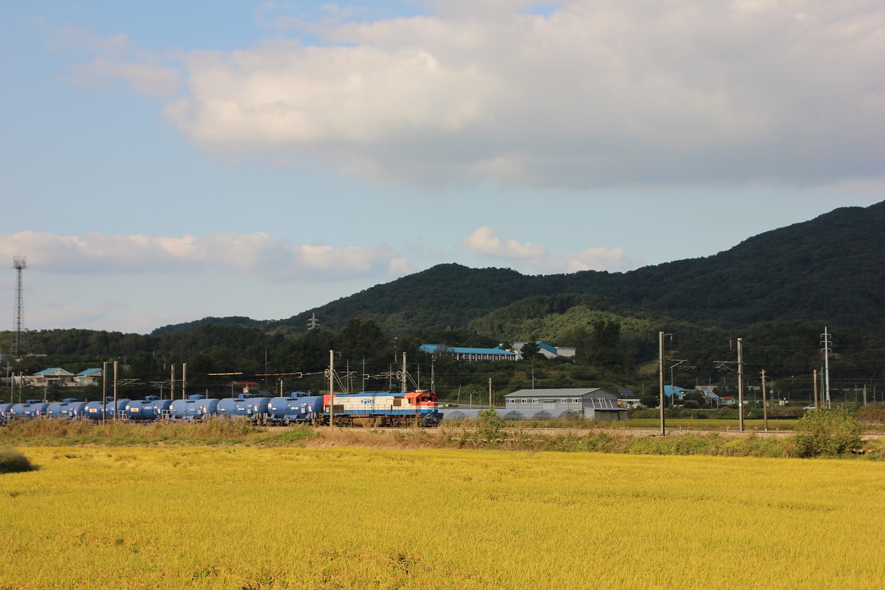 만 26 세 자동차 보험료 디시